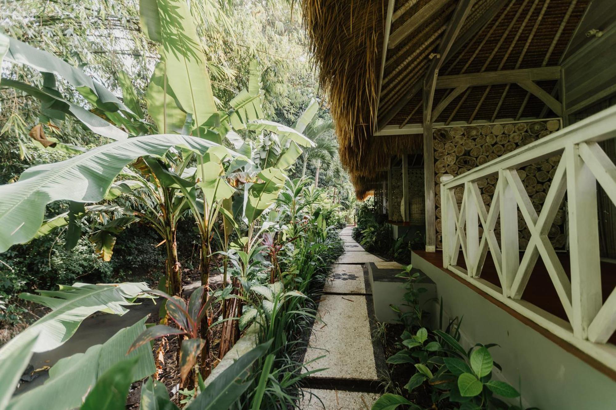 Maylie Bali Villa & Bungalows Canggu Exterior foto